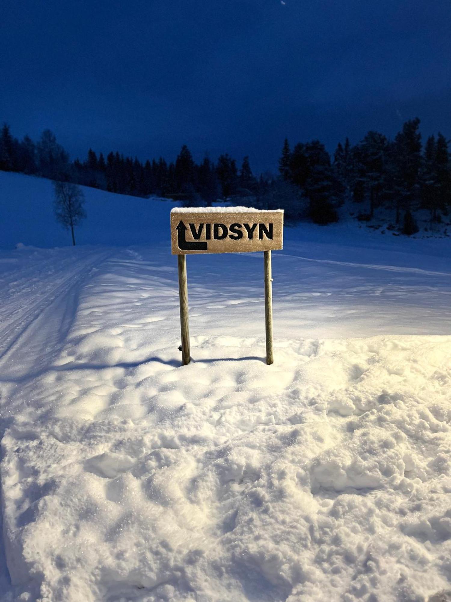 ホテル Vidsyn Midjas Vistad エクステリア 写真